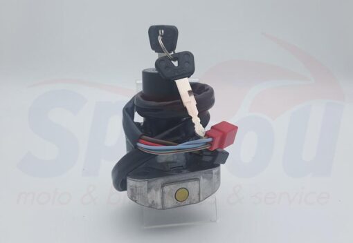 21325 Διακόπτης Γενικός  XT600E-TDM850