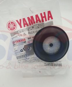 B6F-H3371-00 Κόρνα CryptonS115