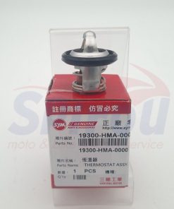 19300-HMA-000 Θερμοστάτης Σκέτος Citycom-Gts-Quad